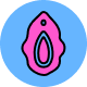 Vulva
